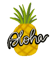 Summer Travel Sticker