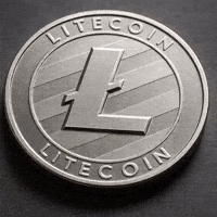 Crypto Coin GIF by Litecoin