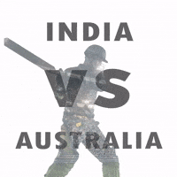 Cricket World Cup India Vs Australia