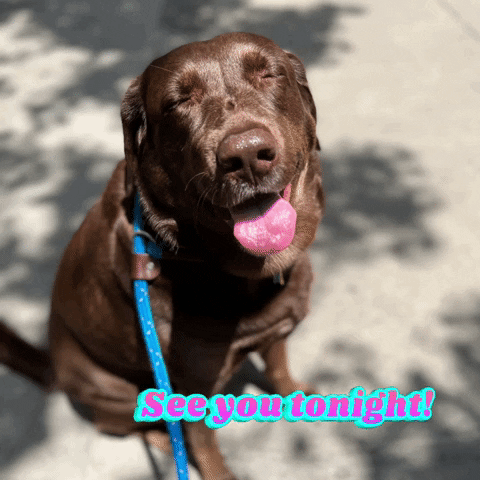 sarahdkatz see you tonight GIF