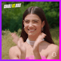 Dixie Snaporiginals GIF by Snap