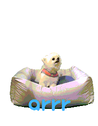 아르르 Sticker by arrr_official