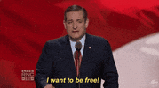 republican national convention rnc GIF by GOP
