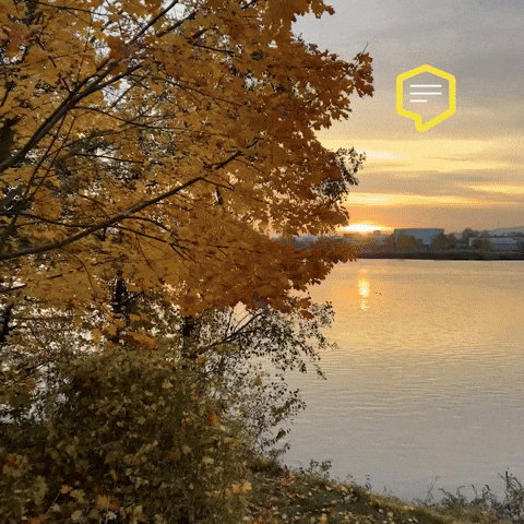 Colors Love GIF by Linz News