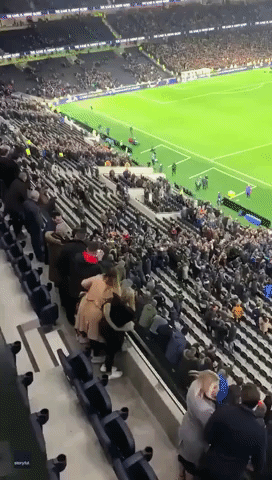 Tottenham Star Eric Dier Climbs Into Stand and Confronts Fan at FA Cup Match