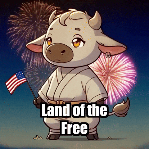 Land Of The Free Usa GIF by Masterfurdinand