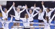 ncaasports ncaa volleyball kentucky wildcats GIF