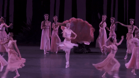 dance ballerina GIF by New York City Ballet