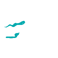 Swipe Up Sticker by Chris Piascik