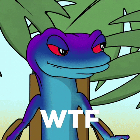What The Omg GIF by snek