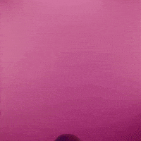 Video gif. Shirtless, bearded hunk rises in front of us and stares at us flirtingly before breaking out into a kind smile and saying, "Happy Tuesday" while handing us a rose.
