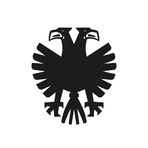 Eagles Sticker by Vitesse Arnhem