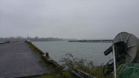 Man Drives Off Oregon Pier to Avoid Police
