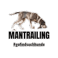 Dog Hund Sticker by GO FIND Suchhunde