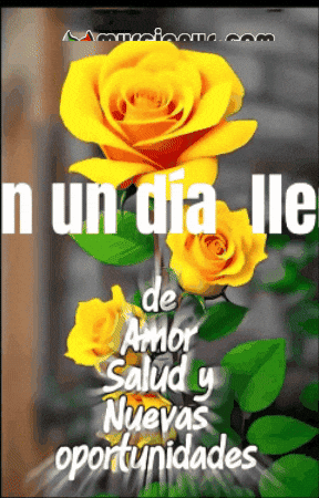 Esta De Amor GIF by Murcianys LLC