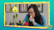 GIF by PBS Digital Studios