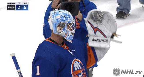 Ice Hockey Hug GIF by NHL