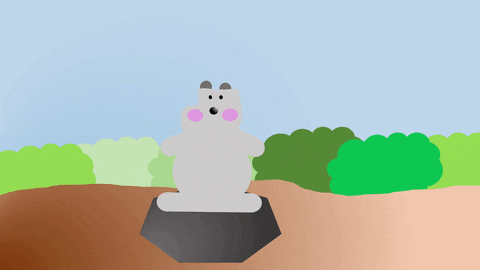 Animation Loop GIF
