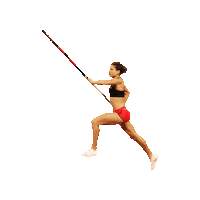 Pole Vault Spirit Sticker by Gill Athletics