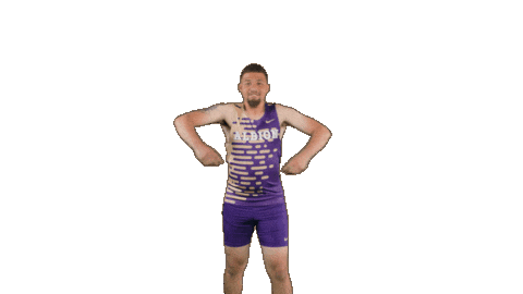 Ppp D3 Sticker by Albion College