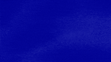 Drake Biz GIF by Jeopardy!