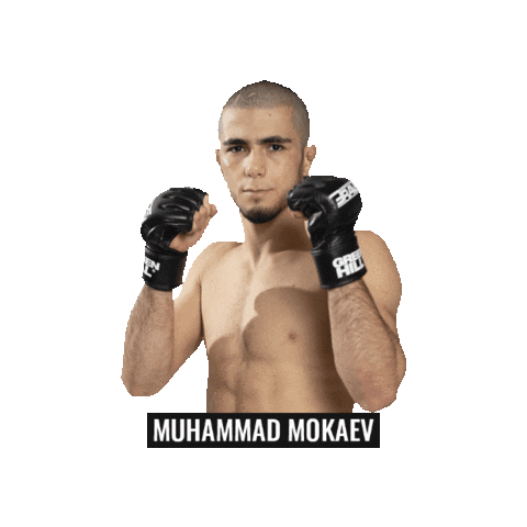 Mokaev Sticker by BRAVE Combat Federation