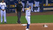 Major League Baseball Sport GIF by MLB
