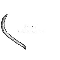 Sweetsmp Sticker by SWEET BROWS & SMP