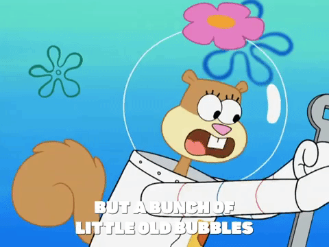 season 8 bubble troubles GIF by SpongeBob SquarePants