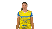 Vbl Schwerin Sticker by Volleyball Bundesliga