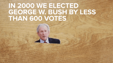 Voting George W Bush GIF by BuzzFeed