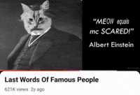 Albert Einstein GIF