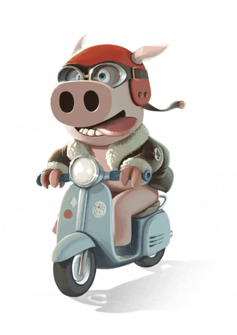 tiagocolacoart giphyupload cartoon pig moto GIF