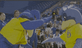 ncaa sports basketball GIF by Delaware Blue Hens