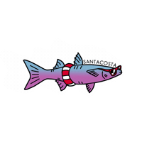 Tainha Praiabrava Sticker by Santacosta