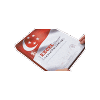 excelhw home singapore premium homedecor Sticker