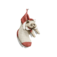 paperview_papelaria cat xmas natal merry christimas Sticker