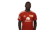 Union Berlin Football Sticker by Bundesliga