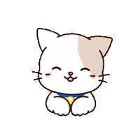 Cat Wow Sticker