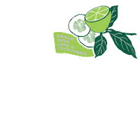 Tonic Artemisia Sticker by Square Root Soda