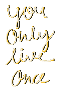 Life Yolo Sticker
