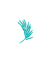 Plant Leaves Sticker