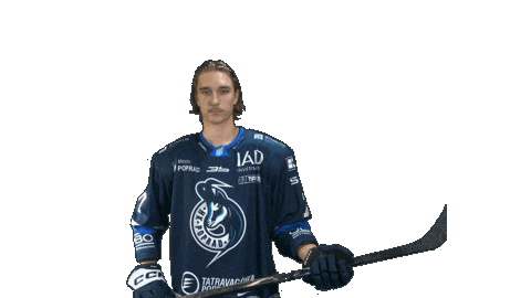 Hockey Sticker by HK Poprad