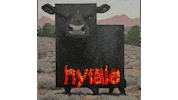 Bull Tuff Sticker