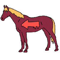 We Got This Arrow Sticker by nelsontasmannz