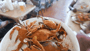 Party Food GIF by The Crab Place