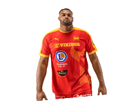 lesvikingsdecaen handball proligue caenhandball lesvikingsdecaen Sticker