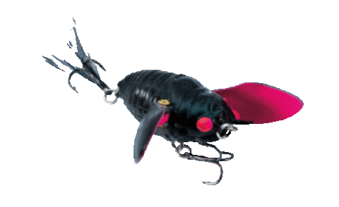 Ripple Cicada Sticker by Chasebaits