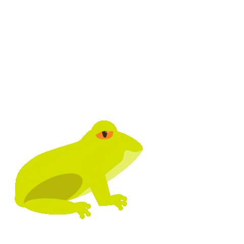 Frog Sticker by Morris Animal Foundation
