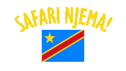 ConseilsVallas travel yellow safari congo Sticker